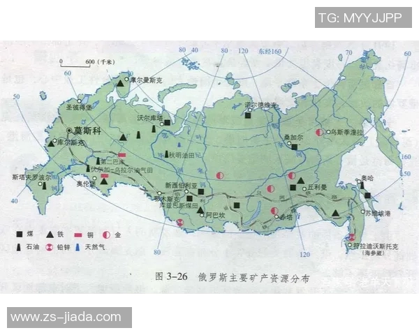 全球视角下的俄罗斯挑战与应对全世界的复杂关系解析